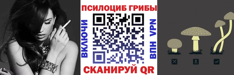 Галлюциногенные грибы Psilocybine cubensis  даркнет сайт  Медногорск 